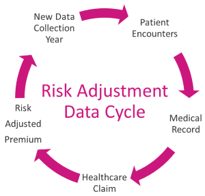 Risk Adjustment Data Cycle
